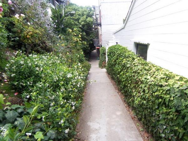 Amsi Lake Street San Francisco Exterior photo